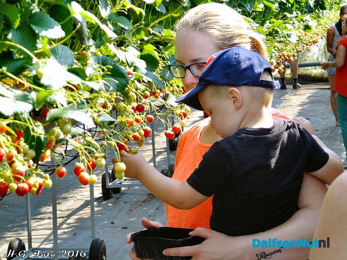 Opendag Kwekerij Ernie van der Kolk. - Foto: H.G. Foto