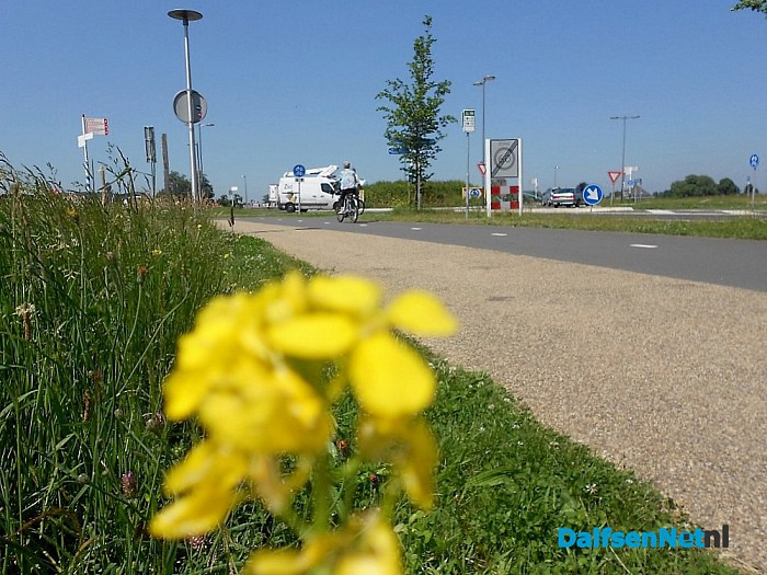Dalfsen volop in bloei