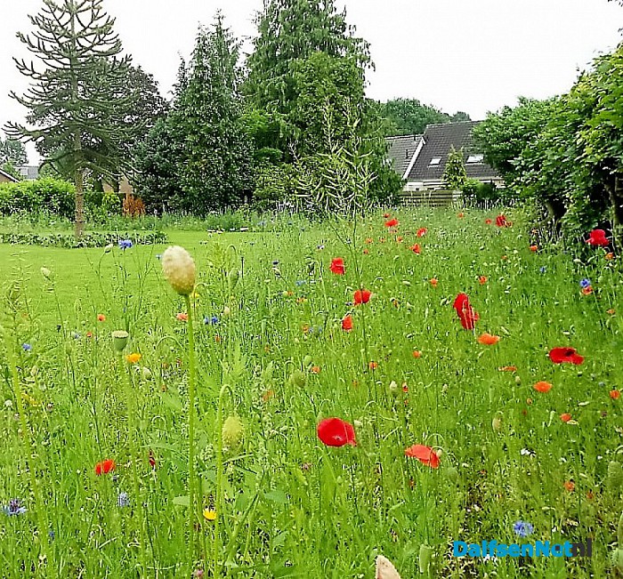 Dorpshuiskamer kijkt uit op bloemenparadijs