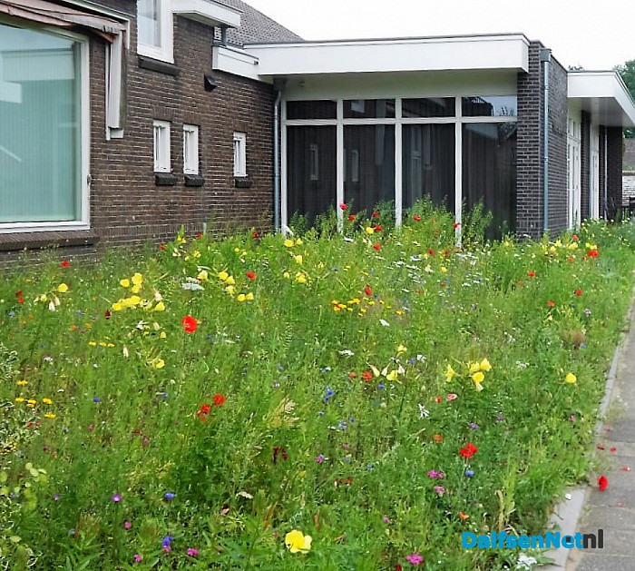 Dorpshuiskamer kijkt uit op bloemenparadijs