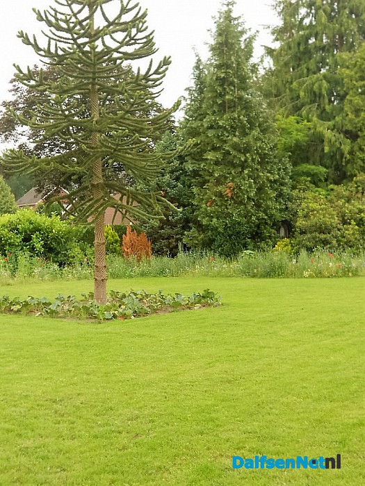 Dorpshuiskamer kijkt uit op bloemenparadijs