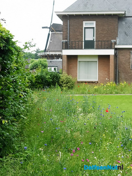 Dorpshuiskamer kijkt uit op bloemenparadijs