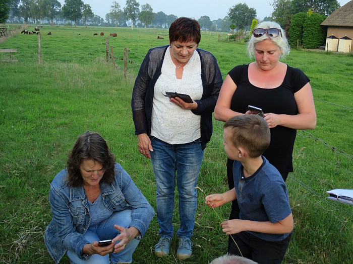 Zeker 10 dode muizen in uilenkast - Foto: Wim