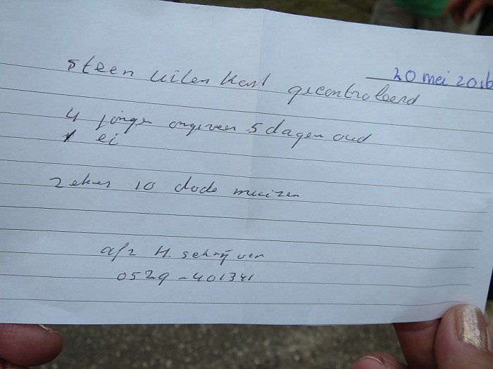 Zeker 10 dode muizen in uilenkast - Foto: Wim