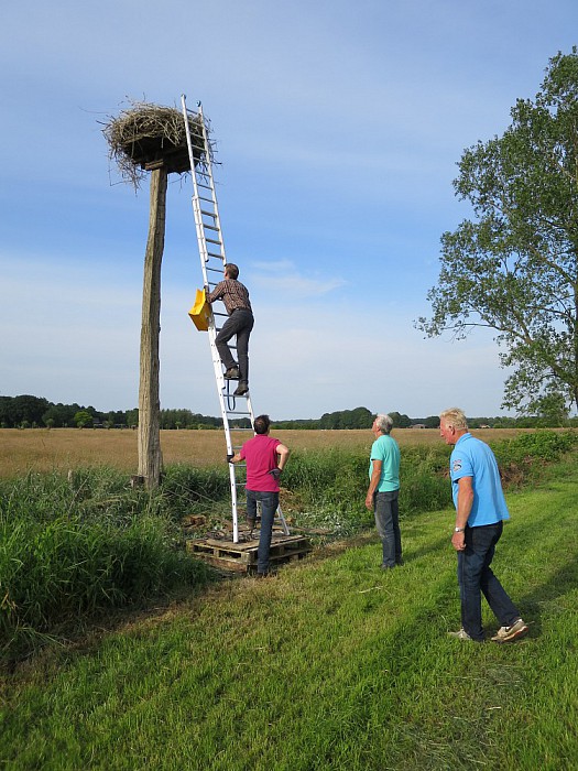 Drukke avond vogelwerkgroep Hoonhorst - Foto: Wim