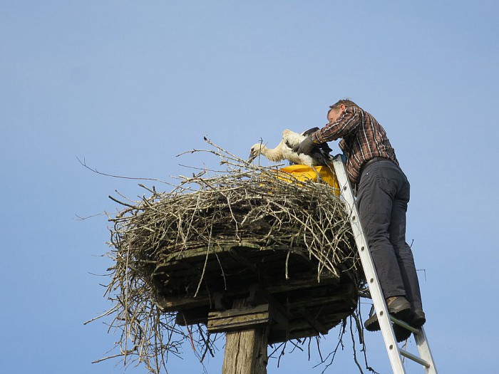 Drukke avond vogelwerkgroep Hoonhorst - Foto: Wim