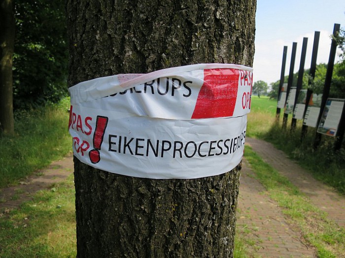 Doede op Waterschapsbank Vechterweerd - Foto: Wim