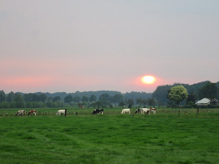 Ondergaande zon bij het Sproeifeest - Foto: Wim