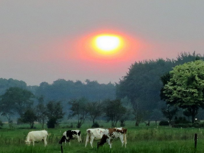 Ondergaande zon bij het Sproeifeest - Foto: Wim