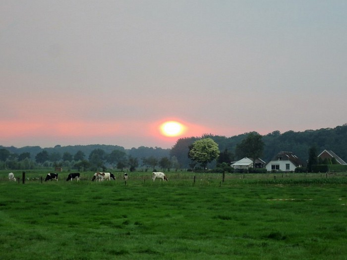 Ondergaande zon bij het Sproeifeest - Foto: Wim