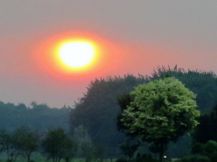 Ondergaande zon bij het Sproeifeest - Foto: Wim