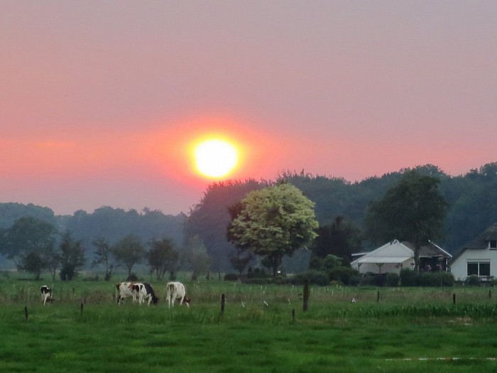 Ondergaande zon bij het Sproeifeest - Foto: Wim