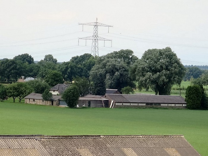 College op bezoek bij fam. De Vos Lemelerveld - Foto: Wim