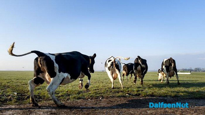 De Sonsbeecker stukken: vervolg van magazine - Foto: Wim