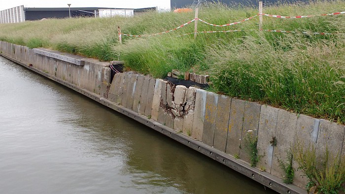 Dijkschouw: graafschades en probleemplant - Foto: Eigen geleverde foto