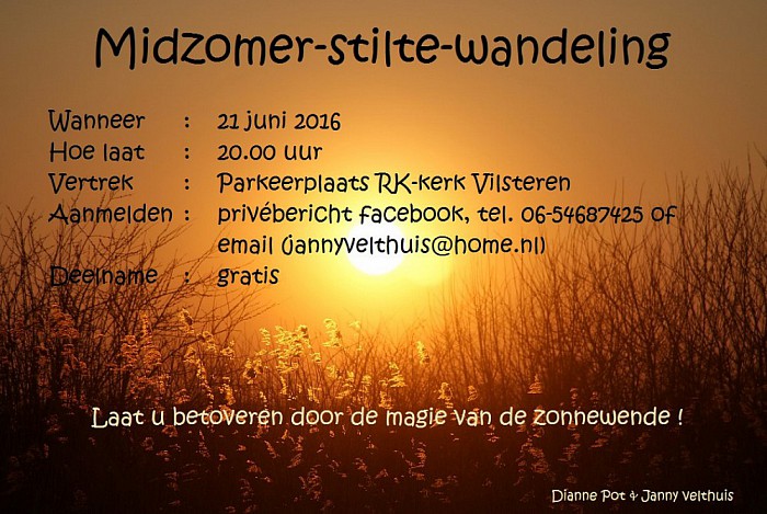 Midzomer-stilte-wandeling - Foto: Eigen geleverde foto