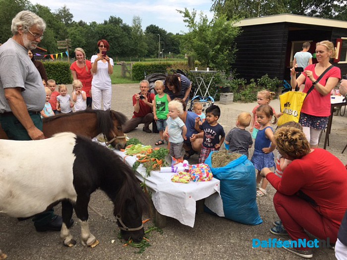 Gastouderbureau Dalfsen viert de 5e verjaardag van pony Annabel