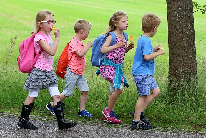 Prachtige wandeldriedaagse in Lemelerveld - Foto: Eigen geleverde foto