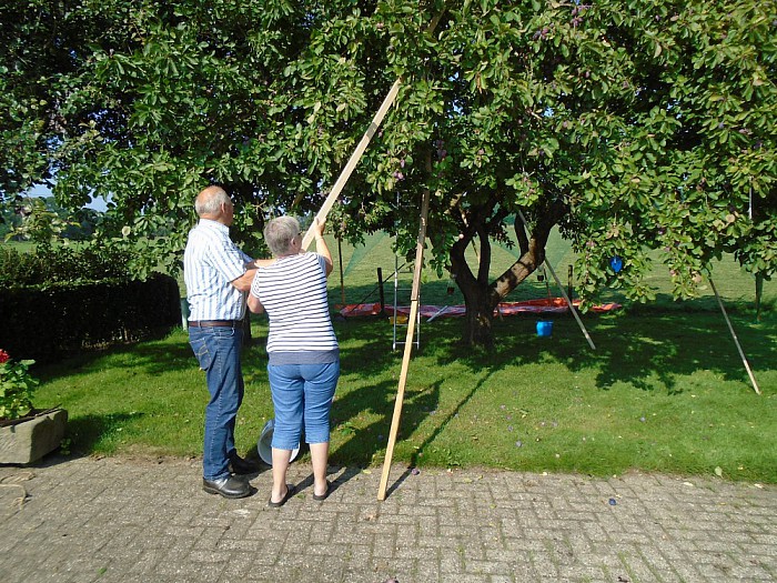 Echt te pruimen deze pruimen - Foto: Lenze L