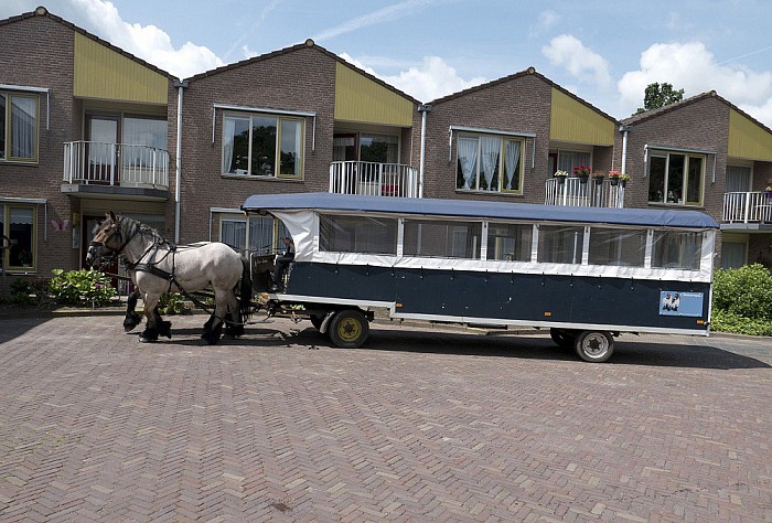 Fantastisch geslaagd uitstapje - Foto: Geert Bistervels