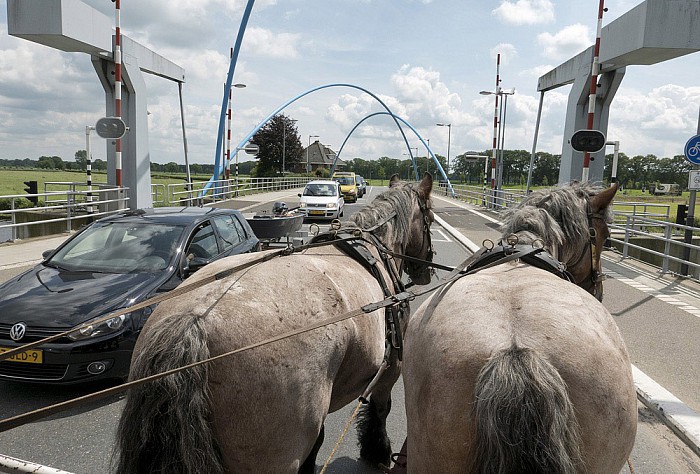 Fantastisch geslaagd uitstapje - Foto: Geert Bistervels