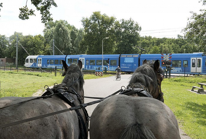 Fantastisch geslaagd uitstapje - Foto: Geert Bistervels