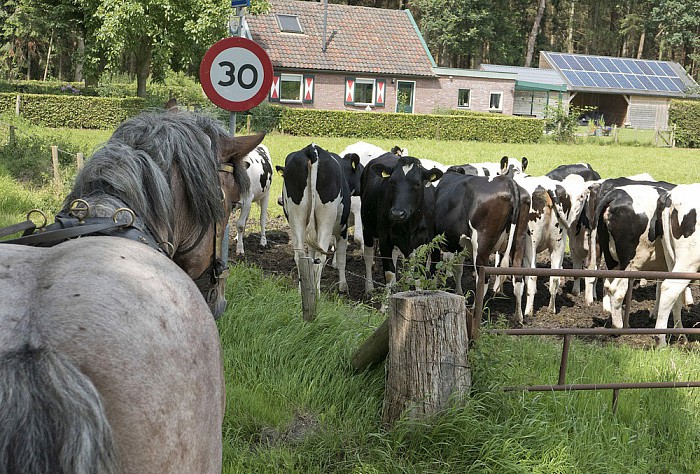 Fantastisch geslaagd uitstapje - Foto: Geert Bistervels