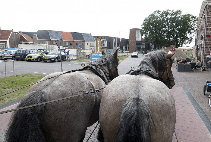 Fantastisch geslaagd uitstapje - Foto: Geert Bistervels