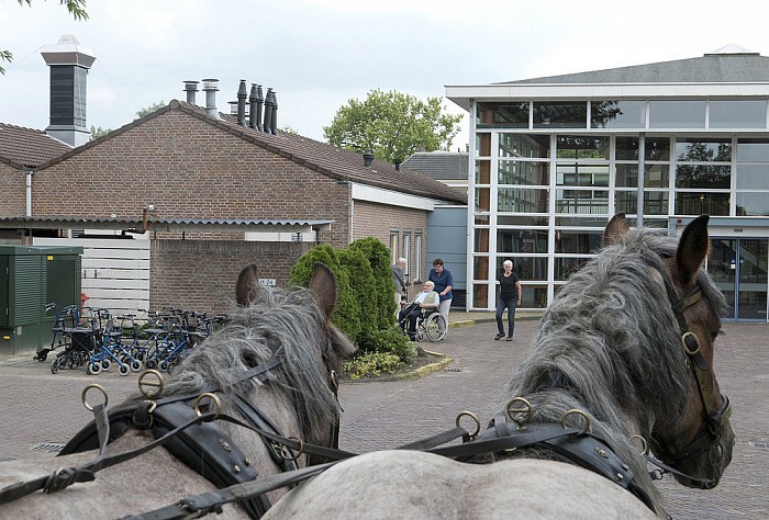 Fantastisch geslaagd uitstapje - Foto: Geert Bistervels