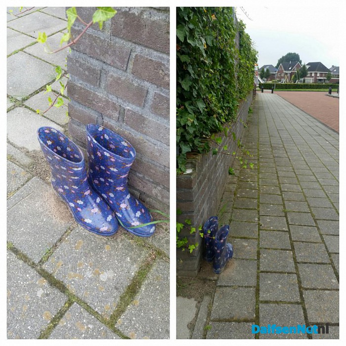Laarsjes zoeken eigenaar - Foto: Ingezonden foto