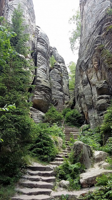 Seniorennieuws: vakantie Dresden - Foto: Eigen geleverde foto