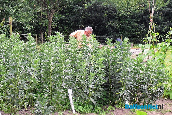 Het is volop zomer op  “Lindehoeve”