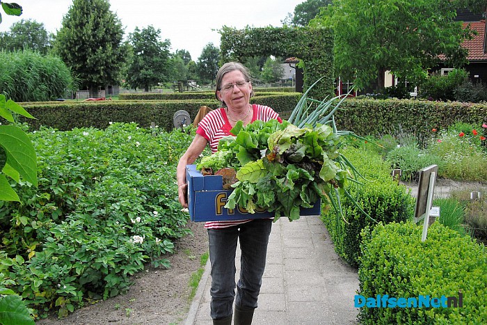 Het is volop zomer op  “Lindehoeve”
