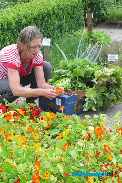 Het is volop zomer op  “Lindehoeve”