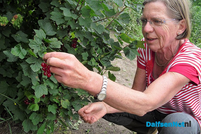 Het is volop zomer op  “Lindehoeve”