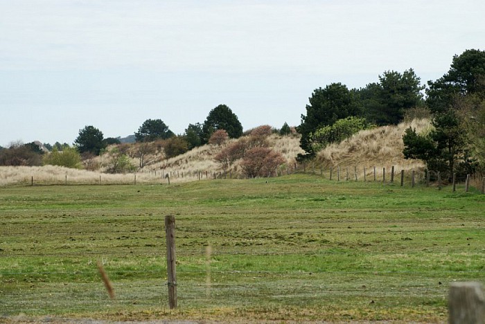 Vakantie (5) Ameland - Foto: Eigen geleverde foto
