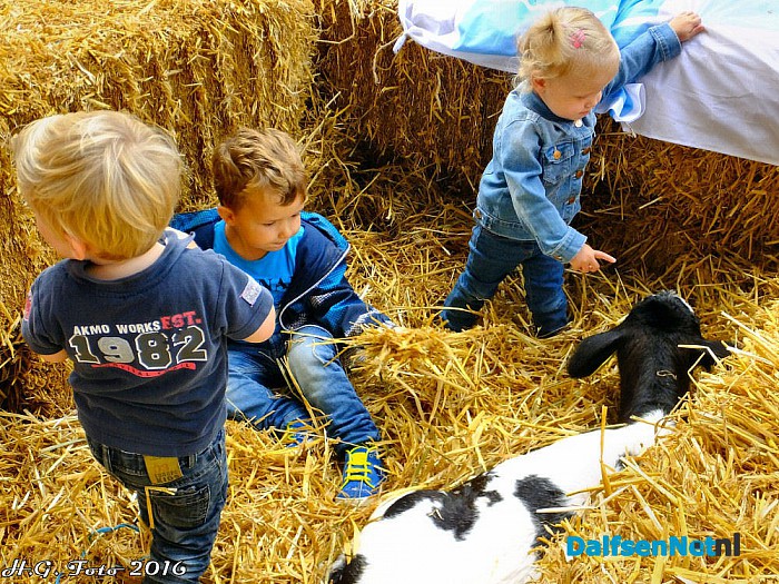 2e Blauwebogendag begint in elk geval droog. - Foto: H.G. Foto