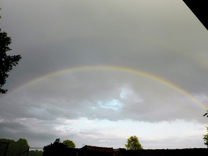 Regenboog - Foto: Eigen geleverde foto