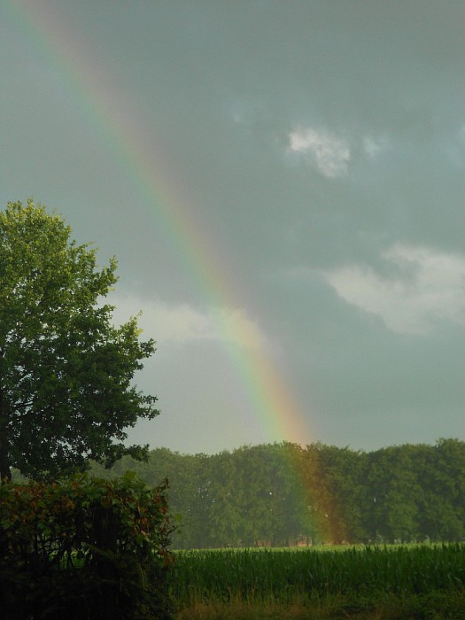 Regenboog - Foto: Eigen geleverde foto