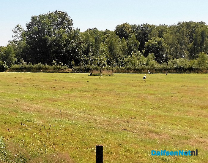Het nest verlaten, de plek nog niet