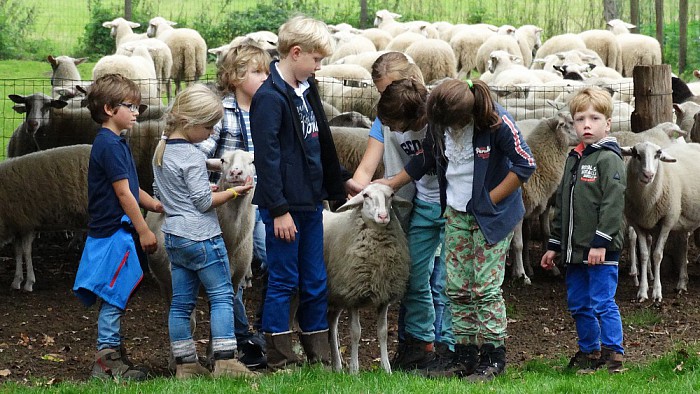 Op Stap met de schaapherder Anita - Foto: Eigen geleverde foto