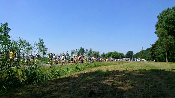 Wandelnieuws: De dag van Elst - Foto: Eigen geleverde foto