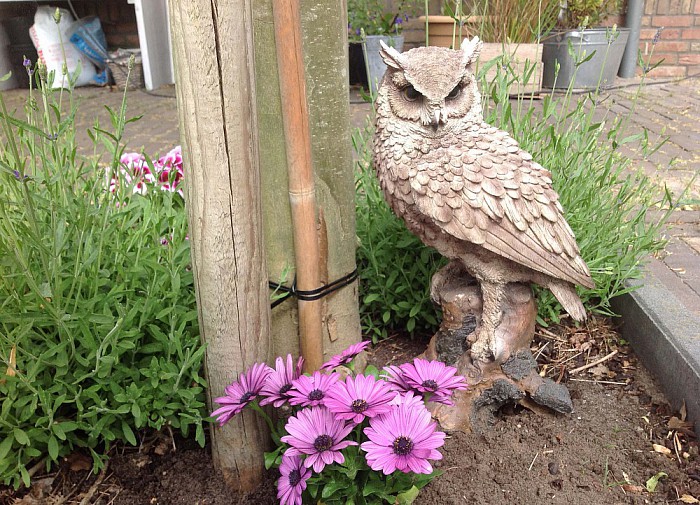 Foto’s van de mooiste plekjes van Dalfsen - Foto: Gemeente Dalfsen