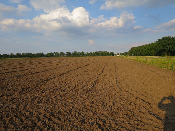 Twee nieuwe locaties voor Afrikanen in Dalfsen - Foto: Wim