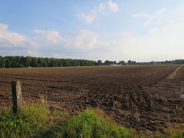Twee nieuwe locaties voor Afrikanen in Dalfsen - Foto: Wim