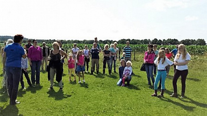 Paarden picknick en Rommelmarkt - Foto: Eigen geleverde foto