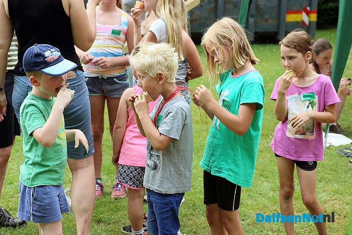 Timmerweek Lemelerveld (donderdag) - Foto: Hans Heerink