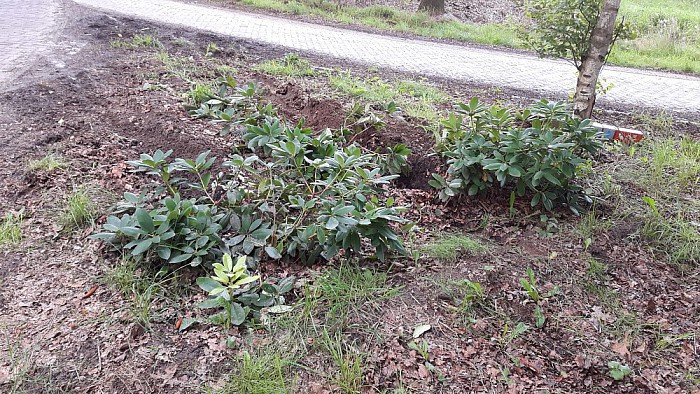 Vernieling of uit de bocht gevlogen ? - Foto: Eigen geleverde foto