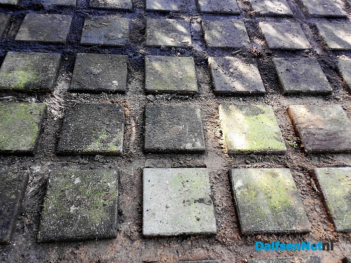 Ruimte voor water, ook in je eigen tuin