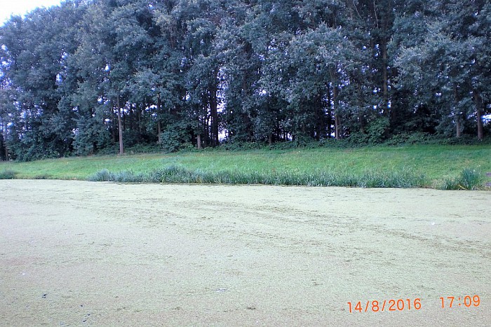 Recreatievissers in het nauw - Foto: Eigen geleverde foto